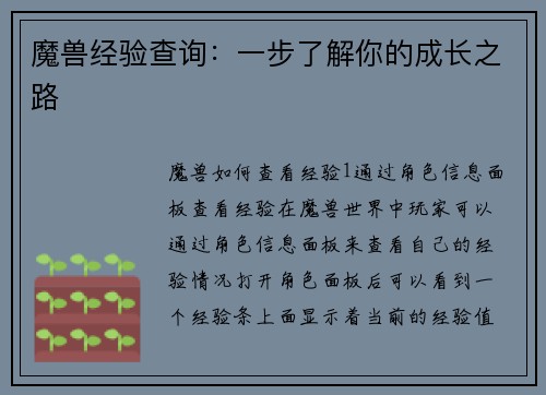 魔兽经验查询:一步了解你的成长之路 魔兽经验查询:一步了解你的成长之路